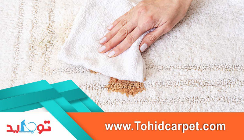 پاک کردن لکه چای از موکت در چند دقیقه